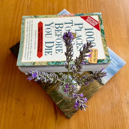 Tros De Mar 公寓 *